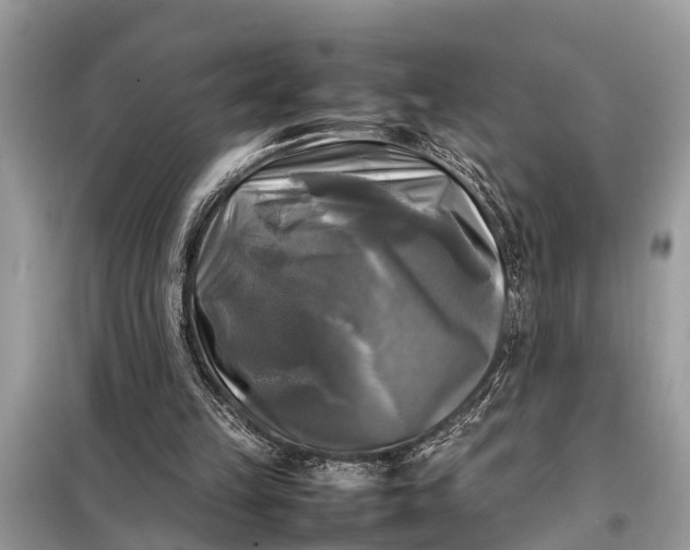 X0000098190149200805081056