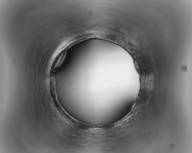 X0000098190150200805081056