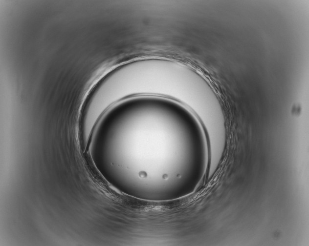 X0000098190152200805081056