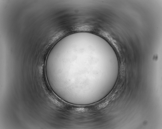 X0000098190153200805081056