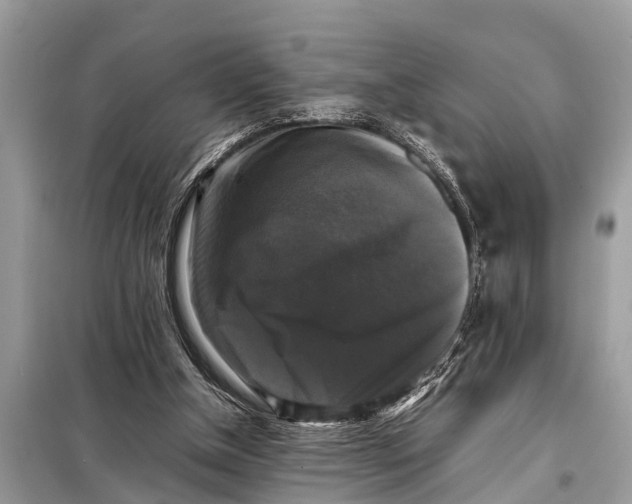 X0000098190154200805081056