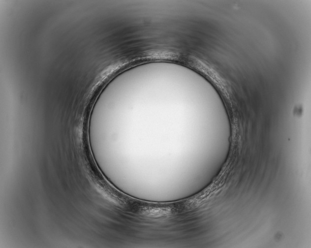 X0000098190155200805081056