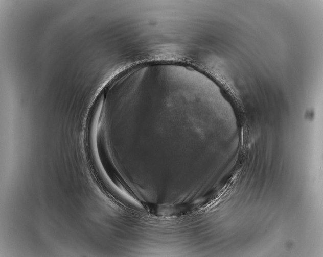 X0000098190156200805081056