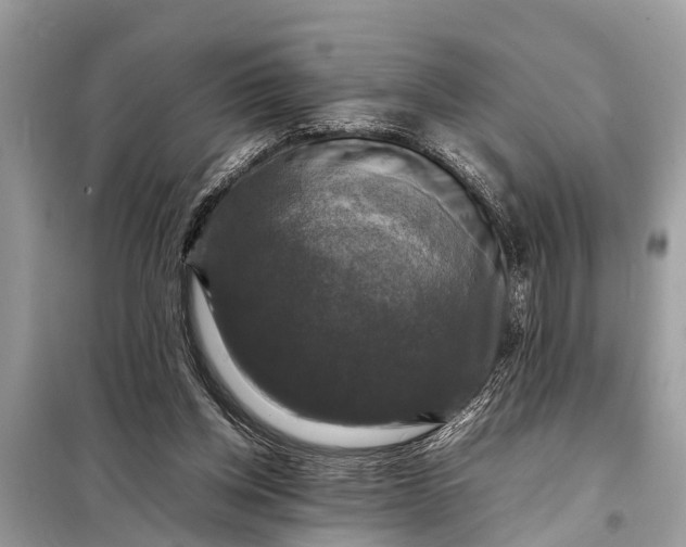 X0000098190158200805081056