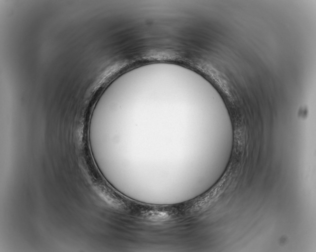 X0000098190159200805081056