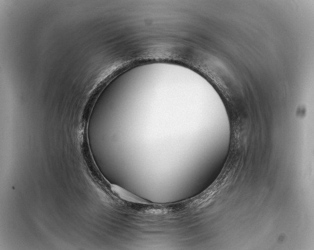 X0000098190160200805081056