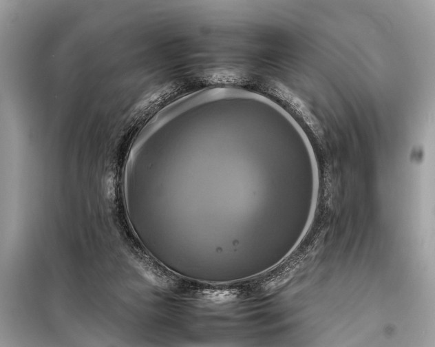 X0000098190161200805081056