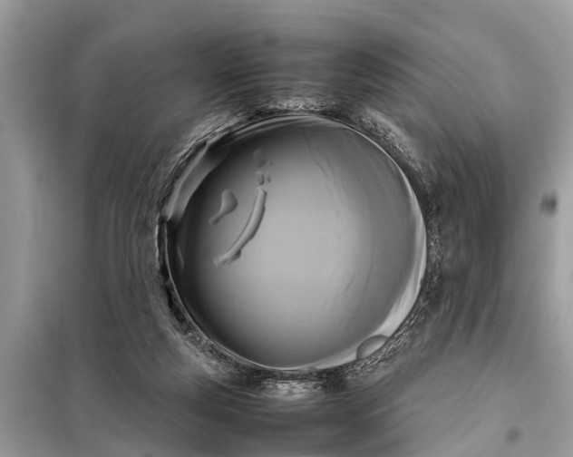 X0000098190163200805081056