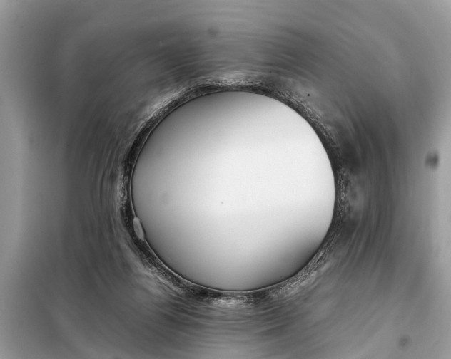 X0000098190164200805081056