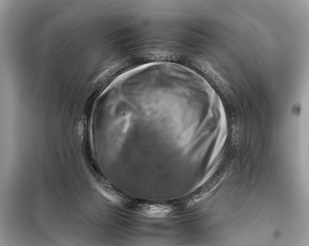 X0000098190165200805081056