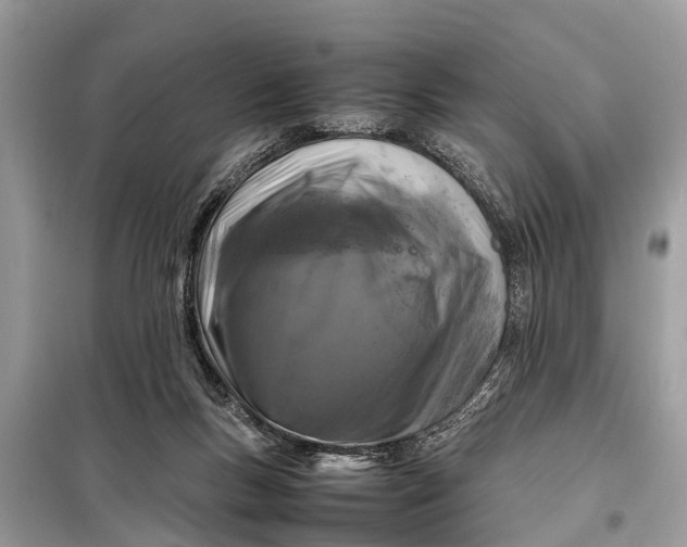 X0000098190167200805081056