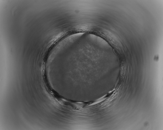 X0000098190168200805081056