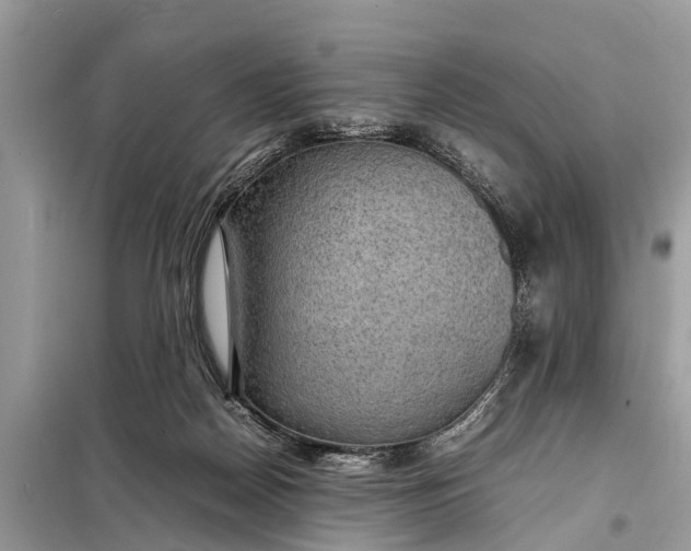X0000098190170200805081056