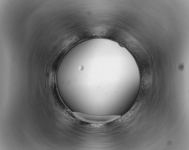 X0000098190172200805081056