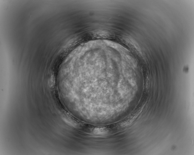 X0000098190173200805081056