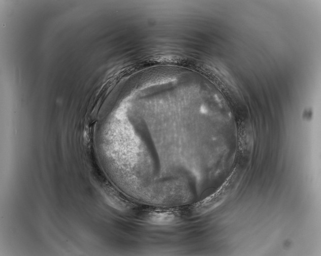 X0000098190175200805081056