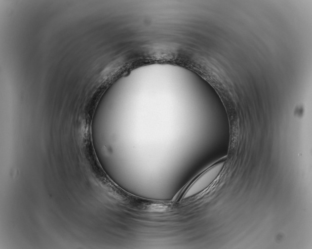 X0000098190176200805081056