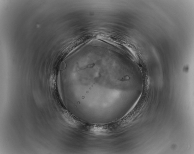 X0000098190177200805081056