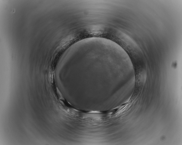 X0000098190180200805081056