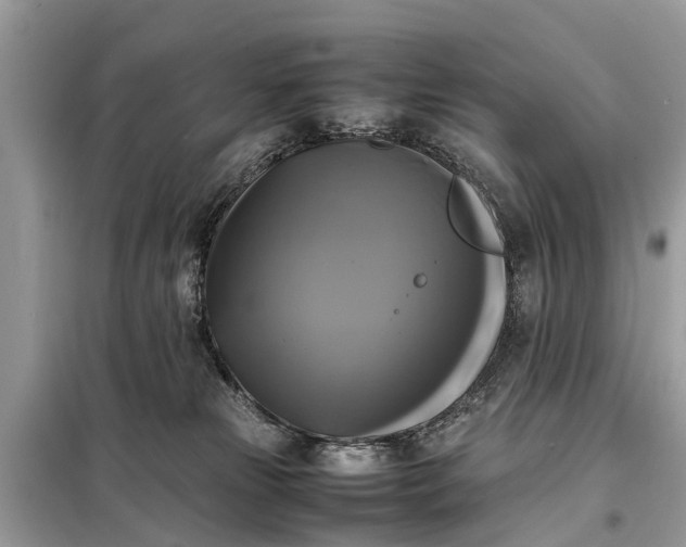 X0000098190181200805081056
