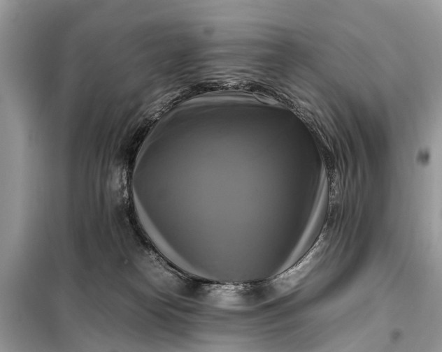 X0000098190182200805081056