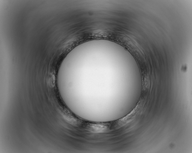 X0000098190183200805081056