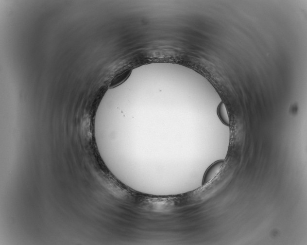 X0000098190187200805081056