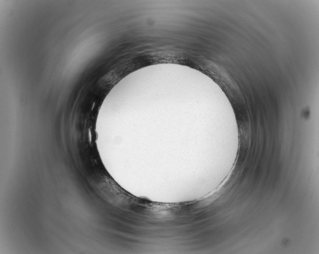 X0000098190190200805081056