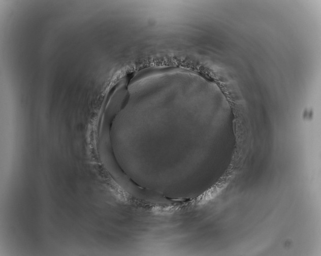 X0000098190192200805081056