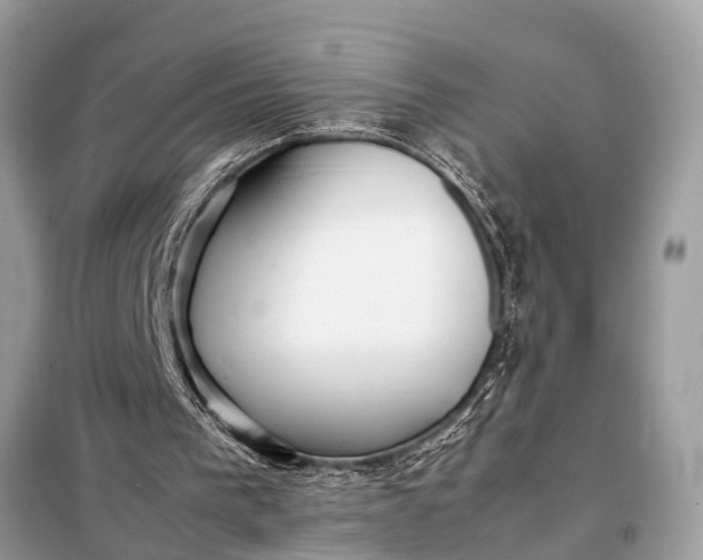 X0000098190193200805081056