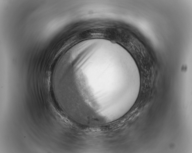 X0000098190194200805081056