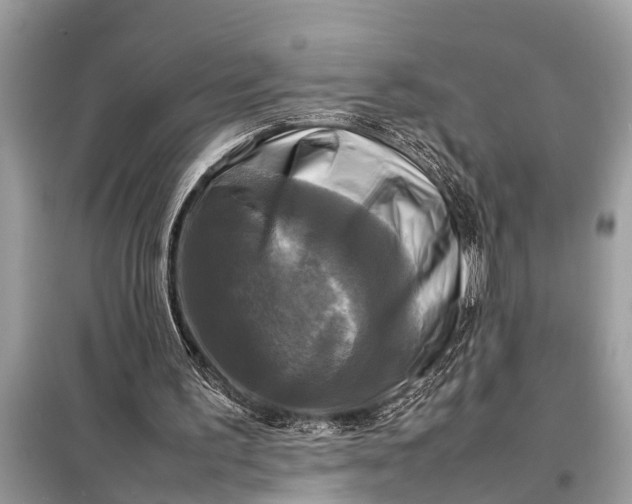 X0000098190195200805081056