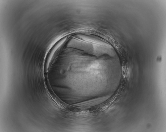 X0000098190196200805081056