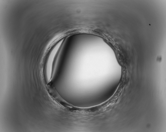 X0000098190197200805081056