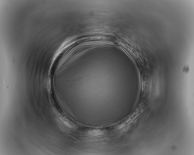 X0000098190198200805081056