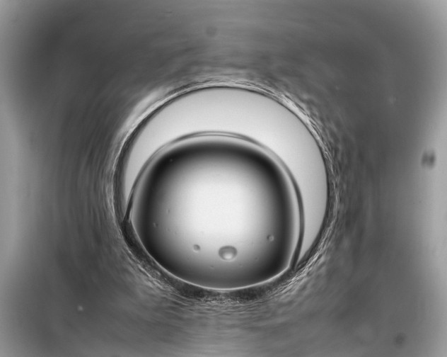X0000098190199200805081056