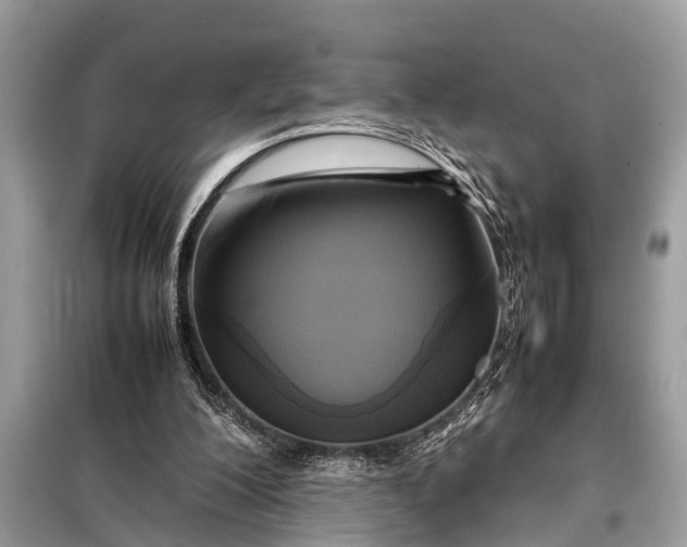 X0000098190200200805081055