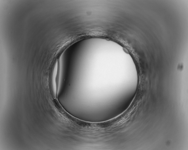 X0000098190201200805081055