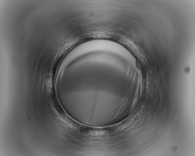 X0000098190202200805081055