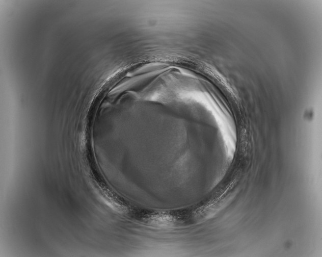 X0000098190203200805081055