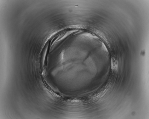 X0000098190204200805081055