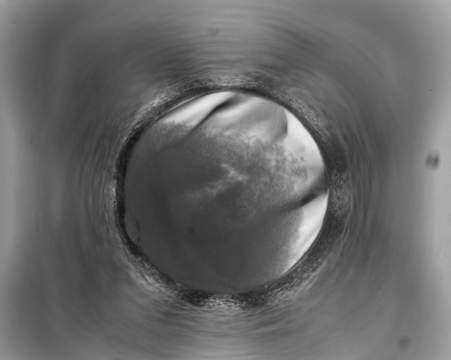 X0000098190207200805081055