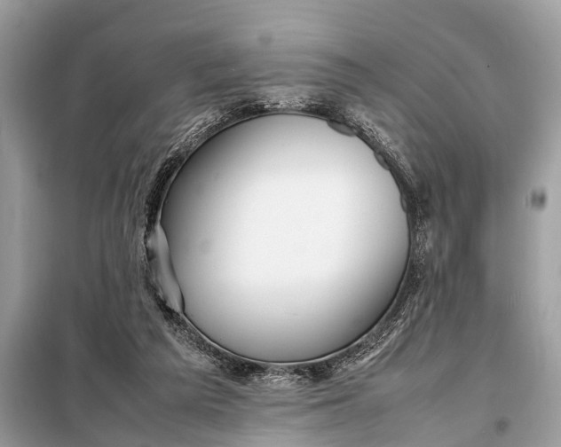 X0000098190209200805081055