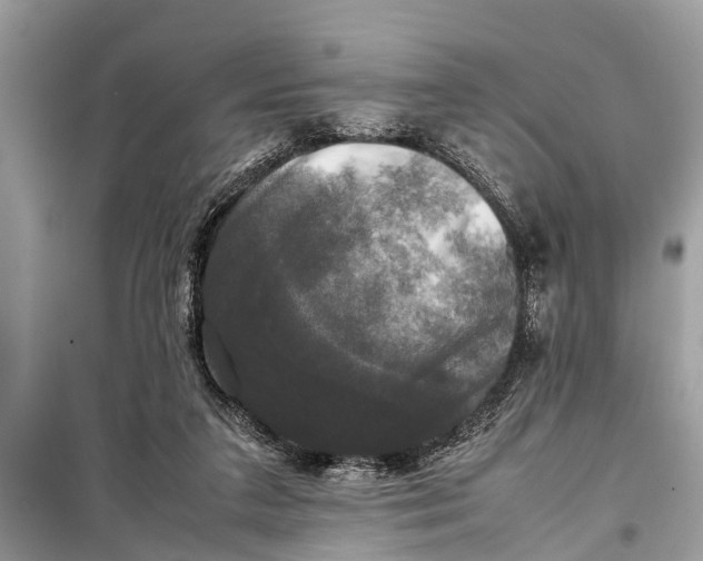 X0000098190211200805081055