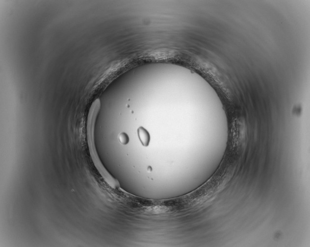 X0000098190212200805081055