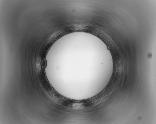 X0000098190216200805081055