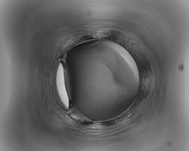 X0000098190219200805081055