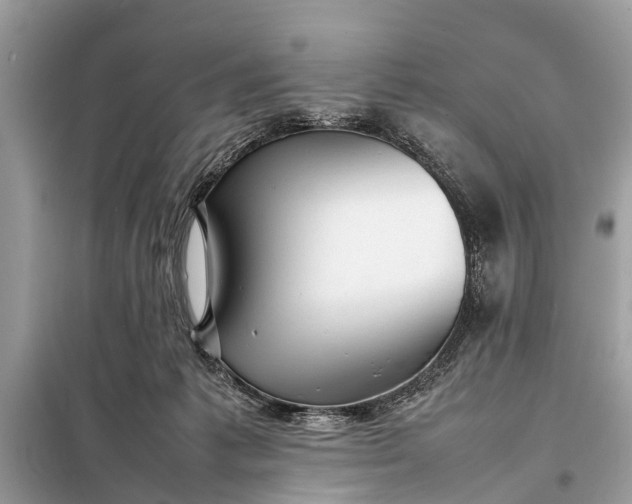 X0000098190221200805081055
