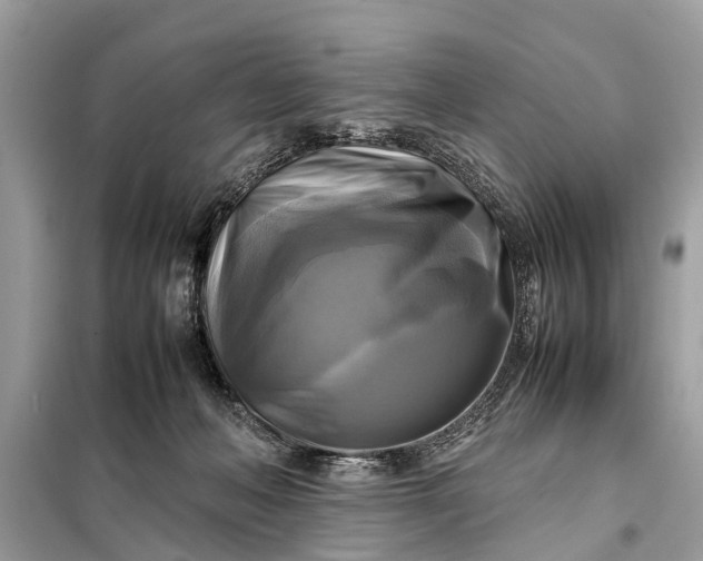 X0000098190222200805081055