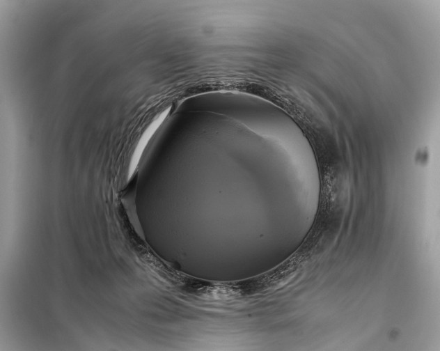 X0000098190223200805081055